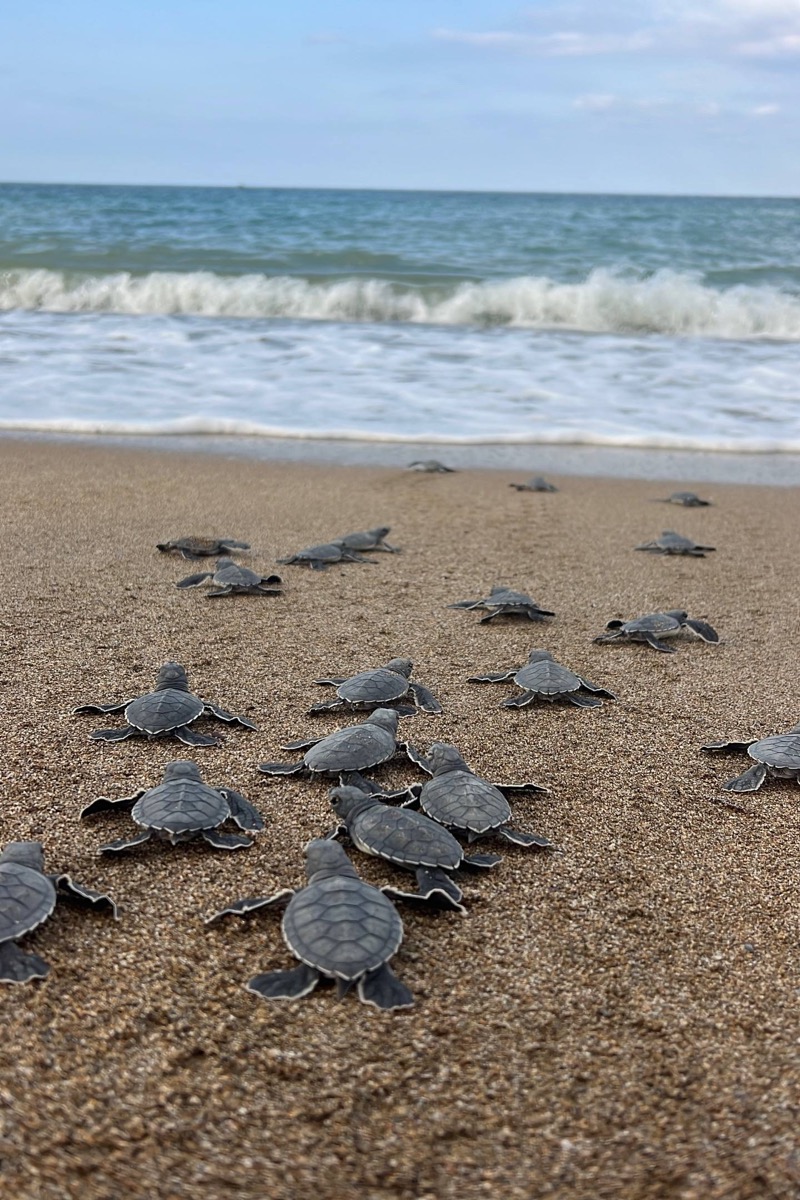 PAC Hub Gazipasa gallery photo